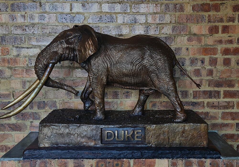 The duke